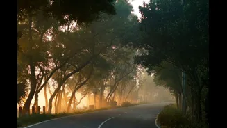 Bengaluru Shivers As Temperatures Dip, Dense Fog Disrupts Morning Commutes