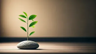 7 Pillars of Self-Value: Cultivating Inner Peace in a Demanding World