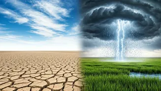 Mumbai Stays Dry While Maharashtra Reels Under Heavy Downpour: Unpacking the Meteorological Phenomenon