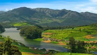Munnar or Ooty? Matching Holiday Expectations with South India's Top November Destinations