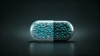 Metformin Without Diabetes: Unpacking the Risks and Realities for Non-Diabetics