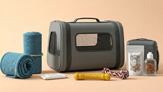 Pet Travel Needs More Than Allowed Entry