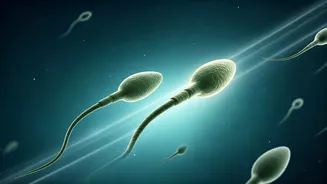 Beyond Mom: How Dad's Health Shapes Baby's Future – A Scientific Revelation