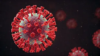 Nipah Virus: Unveiling Symptoms & Risks in India