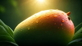 Mango Heat Myth Busted: What a Dietician Says About Summer's Favorite Fruit