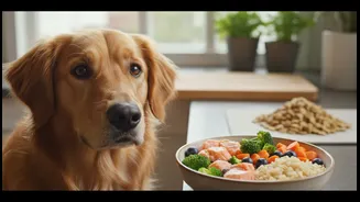 Urban pet parents transition to fresh vet-approved food to tackle kibble boredom