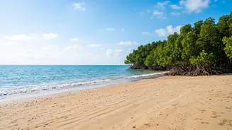 How To Plan A Scenic Budget Weekend Trip To Henry's Island Near Kolkata