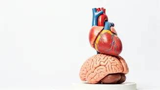 NEET-PG Cut-Off Score: What You Need to Know