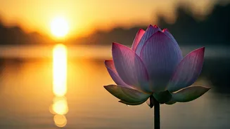 Embrace Your Inner Strength: Morning Affirmations for Challenging Days