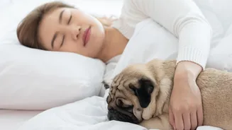 Dormir com o pet pode ser prejudicial? Veja o que diz especialista