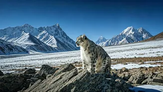 Related Stories banner