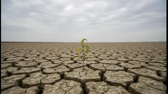 Goa's Weak Monsoon Spell: The Reader-Service Angle Young Indians Need