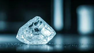 Beyond the Hype: Is Your 'Healthy' Rock Salt a Hidden Risk for High Blood Pressure?