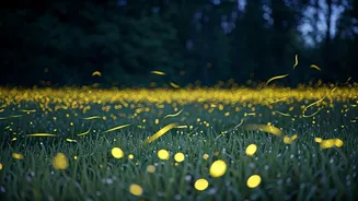 The Outdoors Get More Exciting This June