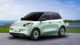 How Agricultural Waste Derived Plant Electrolytes Drive Safe Non Flammable EV Battery Tech