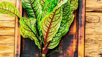 Forest Ingredients Are Moving Into Modern Restaurant Menus