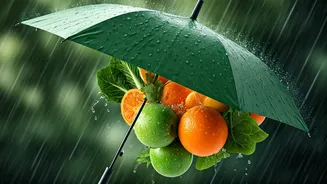 Stay Healthy Even When It Rains