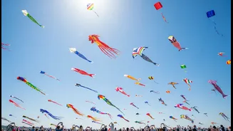 Families, Culture Travellers And Weekend Planners Can Learn From Tamil Nadu's International Kite Festival