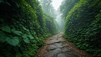 Why Everyone Is Traveling To Offbeat Western Ghats This Monsoon