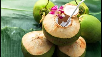 “Feeling Drained Before Noon?”: Doctors Recommend This Empty Stomach Hydration Hack in Summer
