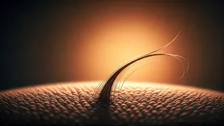 Shedding Light on Weight Loss Hair Loss: Understanding the Connection