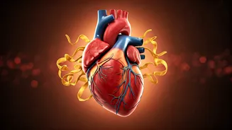 More Protein Could Support Longer Healthspan, Study Says