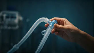 Related Stories banner