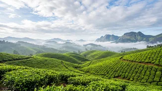 September Trip Planning: How To Read A Monsoon Travel Insurance Policy