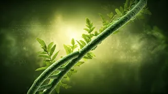 Ayurveda's Global Leap: Ancient Wisdom Meets Modern Science in India's Research Renaissance