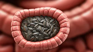 Stress & Your Gut: How a Simple Seed Can Heal the Damage