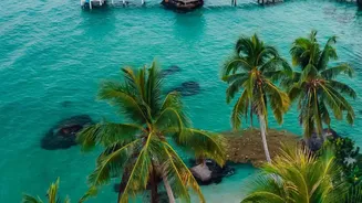 Why Direct Connectivity Boosts Phu Quoc Island Popularity Among Metro Indian Vacation Seekers