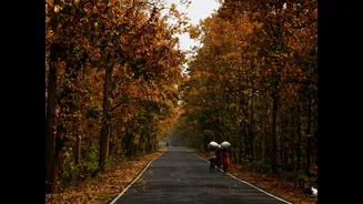 Best Places to Visit in October Across India