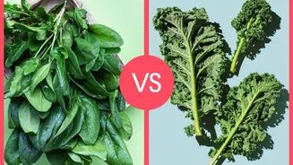 Spinach v/s kale: Which benefits your health better?