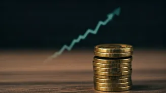 Decoding the Mutual Fund Landscape for Indian Investors