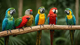 See 5 Stunning Parrot Species Now!