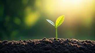 Nurturing Individuality: Letting Your Child Bloom at Their Own Pace