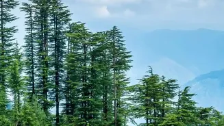 7 Indian Monsoon Escapes For Travellers Chasing Clouds, Rain And Greenery