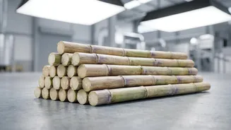 The Numbers Behind India's Sudden Return To Sugar Imports