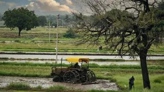 Telangana farming struggles in Vanakalam as El Nino reduces water