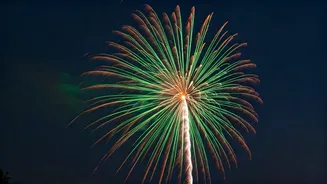 Green Crackers OK'd for Delhi Diwali: Court