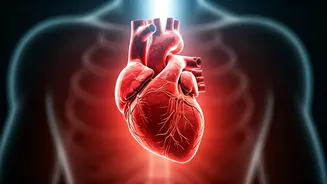 The Vanishing Chest Pain: What a 'Silent' Heart Attack's Discovery Reveals