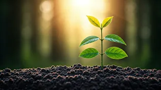 Earth Day 2026: Inspiring Words for a Greener Tomorrow