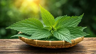 Related Stories banner