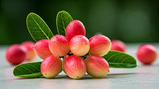 Unlock Healthier Hair: Harnessing the Power of Karonda (Carissa carandas) for Growth