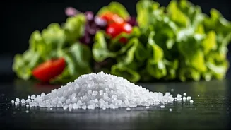 From Salarium to Salad: The Surprising Journey of Salt in Language and Civilization