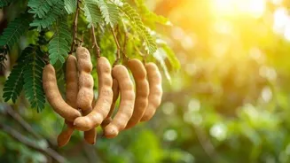 5 beauty hacks using tamarind pods