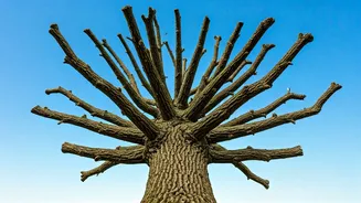 8 Pillars of Mental Strength: Build a Resilient Mindset