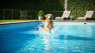 Premium Pet Lodges See Huge Rushes For Splash Zones
