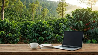 Hide In Coorg’s Organic Coffee Estates For Green Workations