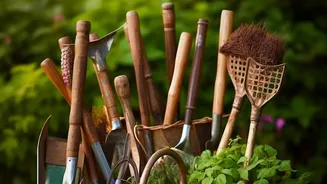 Plant Propagation Using Everyday Cuttings: A Closer Look
